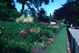 Gardens - United Kingdom : perennial border, Liverpool Botanical Garden
