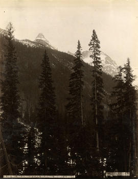 Mount Sir Donald, C.P.R. Selkirks, Height 10,645 feet