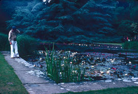 Gardens - United Kingdom : lily pond, Bodnant
