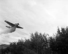 [Water bomber dropping water on trees near Kamloops]