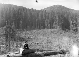 [View of Clear Cut, Youbou B.C.]