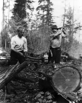 [Mr. Mark Mount and Mr. McRae felling trees at 3379 West 22nd Avenue]