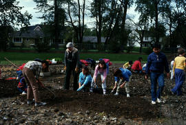 Education : planting children's garden