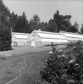 Greenhouses at Stanley Park, installation of gas lights