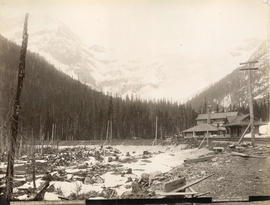 Glacier Hotel and Glacier Selkirks