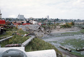 False Creek - Cleanup progress #3 [7 of 20]