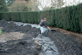 Shovelling soil