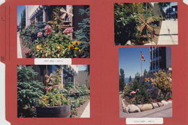 Pieter's picture no.5 [new garden photographs]