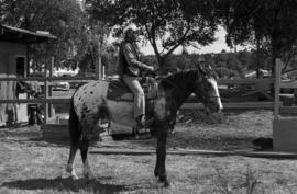 144 - Habitat Forum - horses/security blue [27 of 38]