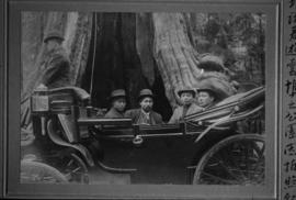 Chinese men in carriage at the Hollow Tree in Stanley Park