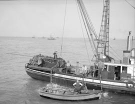 Sockeye seine fishing