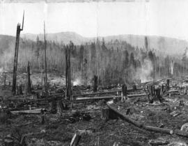 General Contract - Port Moody, B.C. [clearing the site for an Imperial Oil Company refinery]