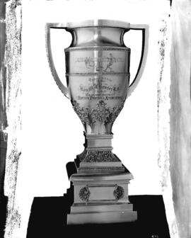 Bowser Cup - soccer [trophy]