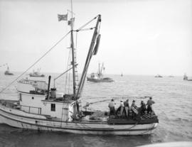 Sockeye seine fishing