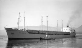 M.S. Polyrover