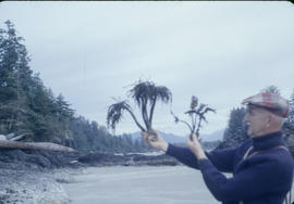 Long Beach 1960 - Stewart holding palm seaweed