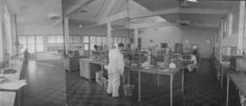 Staff in No. 1 laboratory