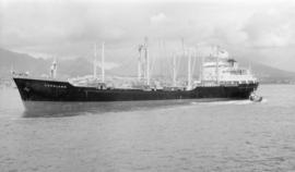 M.S. Fernland