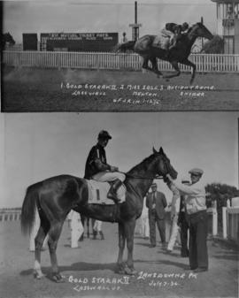 Winners' circle : "Goldstreak II" winner : Lasswell UP at Lansdowne Park