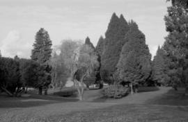 Tatlow Park, looking north