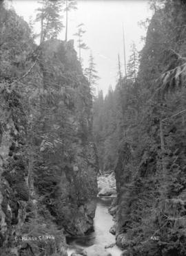 Capilano Canyon