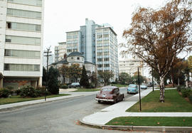 [View from Comox] Street [in the West End showing] trees