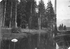 [A pond east of the bandstand]