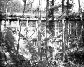 The file near Carmi, Mile 52.8 : Trestle empty