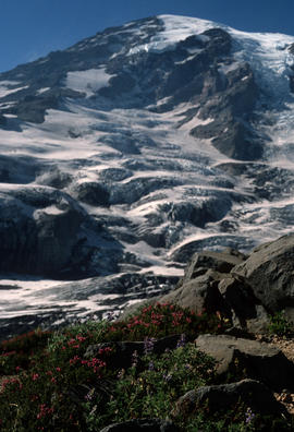 Habitat : Pacific NW Scene, Glacier M[oun]t[ain] Rainier Cascade Range (US Side)