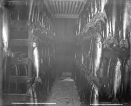 Freezing Room, Texas Lake Ice and Cold Storage Room