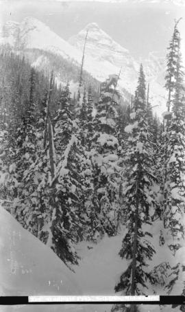 Syndicate Peak, Selkirks, midwinter