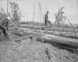 Pacific Mills : Queen Charlotte Island : bundling timber