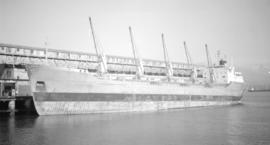 M.S. Voorne [at dock]