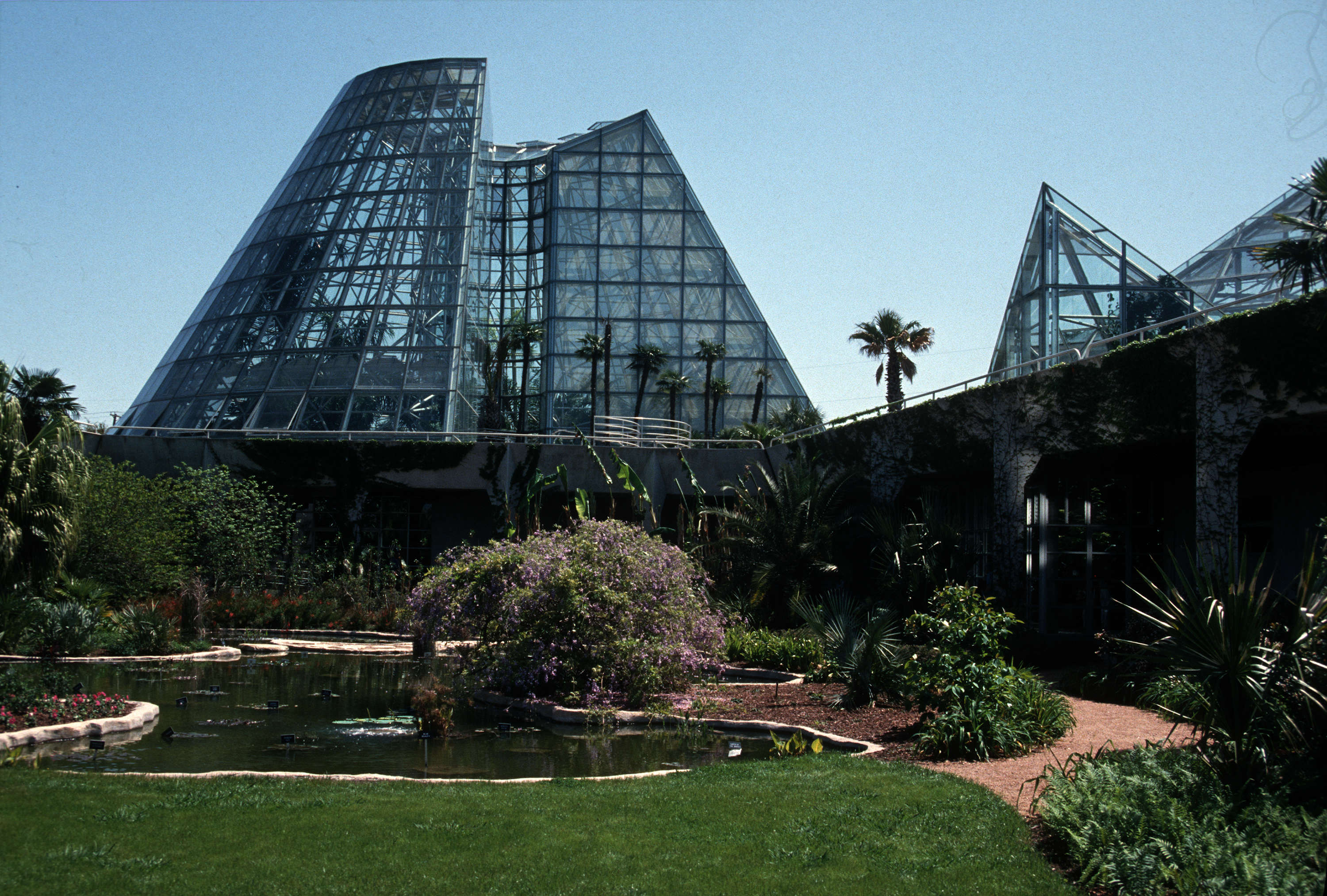 Plant Protection San Antonio Botanical Gardens Conservatory