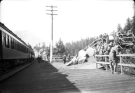 Train stop near Albert Canyon, B.C.