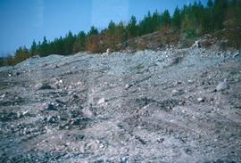 Environment : Copper Mountain. soil building, conservation