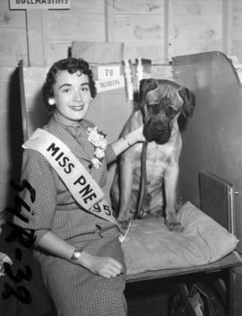 Nancy Hansen, Miss P.N.E., with award-winning bullmastiff "Robin" in all-breed dog show