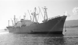 M.S. Hoegh Elan