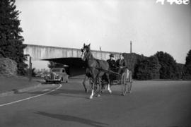 [Two men in horse and buggy near entrance to Stanley Park]