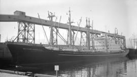 M.S. Neuharlingersiel [at dock]