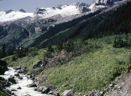 Asulkan River & Glacier