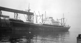 M.S. Toho Maru [at dock]