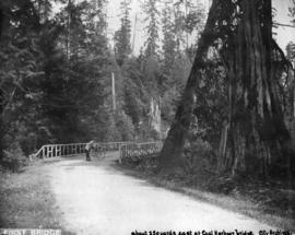 First bridge [over Beaver Lake]