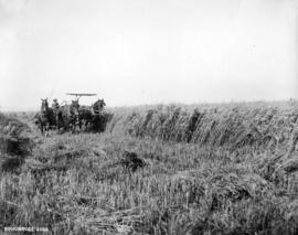 Harvesting in British Columbia