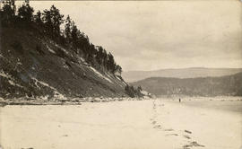 [Beach and cliffs]