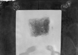 Fingerprint [Copy of image of a fingerprint]