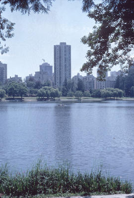 [View of English Bay and the West End from Stanley Park]