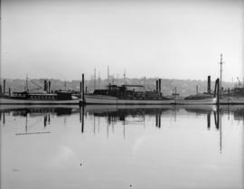 Boats in the marina