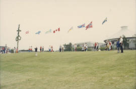 Scandinavian Festival attendees and flags at Vanier Park