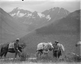 South of Lightning Valley [in the Cascade Range]